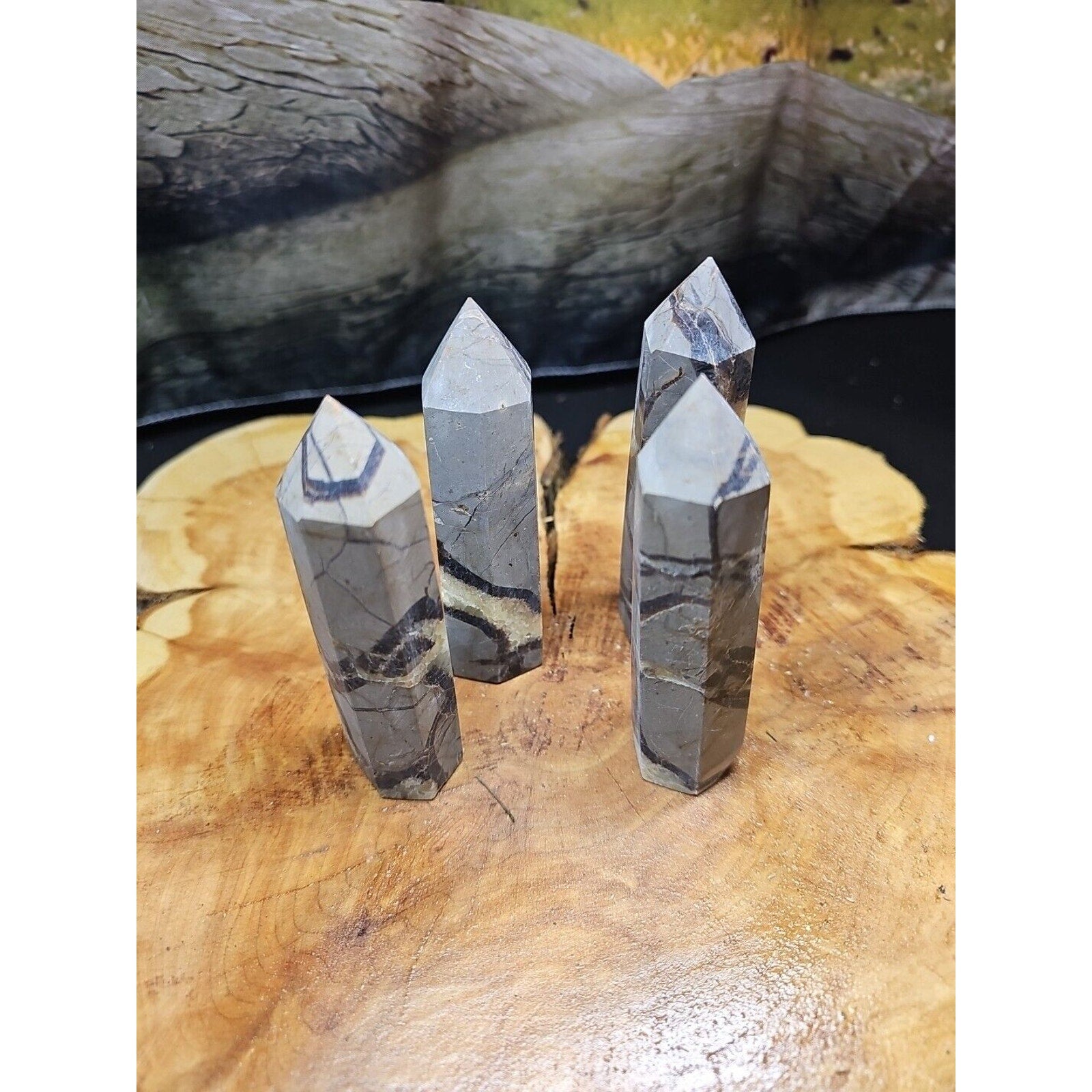 Dragon Septarian Geode Cluster Four Piece Set